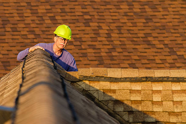Roof Gutter Cleaning in Water Valley, MS