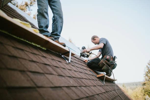 Best Roof Maintenance Services  in Water Valley, MS