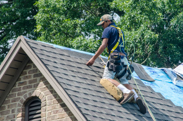 Best Roof Leak Repair  in Water Valley, MS